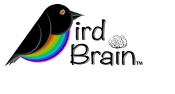 Bird Brain Logo